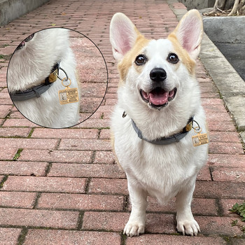 Ετικέτες κολάρου σκύλου Προσαρμοσμένη ετικέτα ταυτότητας κατοικίδιων Προσωποποιημένες πληροφορίες Ετικέτα λουριού για κολάρα σκυλιών Ετικέτες κατοικίδια Αξεσουάρ Λαμπραντόρ