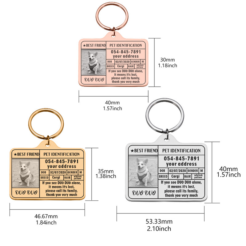 Ετικέτες κολάρου σκύλου Προσαρμοσμένη ετικέτα ταυτότητας κατοικίδιων Προσωποποιημένες πληροφορίες Ετικέτα λουριού για κολάρα σκυλιών Ετικέτες κατοικίδια Αξεσουάρ Λαμπραντόρ