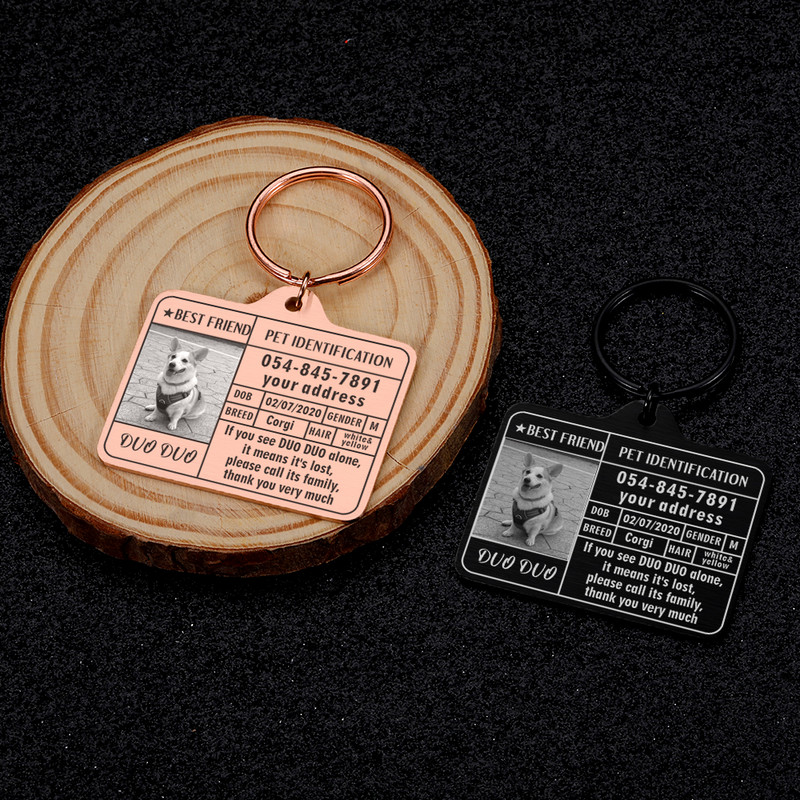 Ετικέτες κολάρου σκύλου Προσαρμοσμένη ετικέτα ταυτότητας κατοικίδιων Προσωποποιημένες πληροφορίες Ετικέτα λουριού για κολάρα σκυλιών Ετικέτες κατοικίδια Αξεσουάρ Λαμπραντόρ