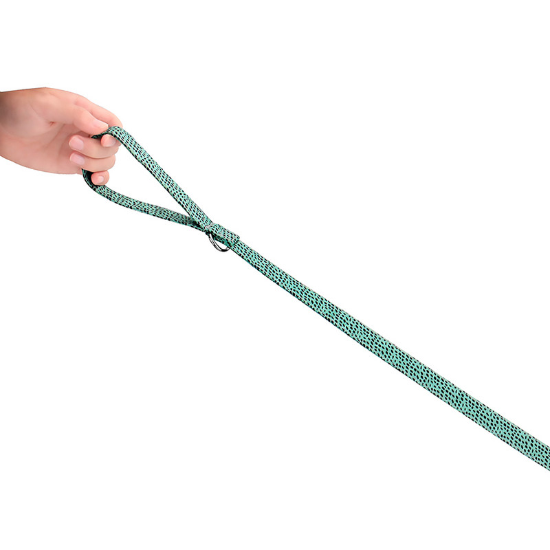 Lesă pentru câini Lese pentru animale de companie Dot Dog Cat Cat Safe Lesa Funie de mers pe jos Lese de antrenament pentru catelus