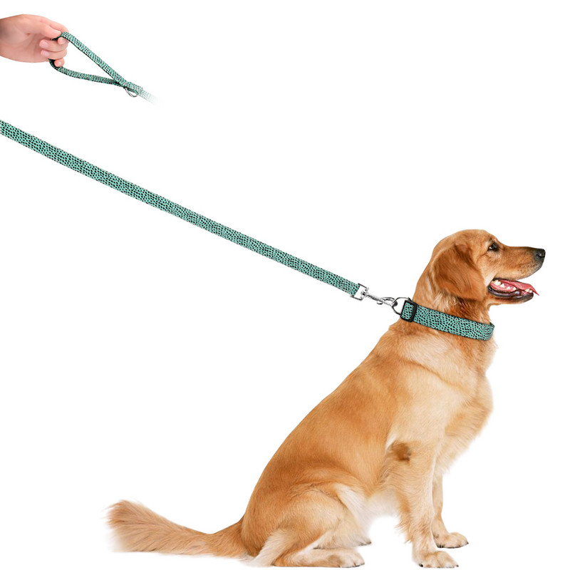 Lesă pentru câini Lese pentru animale de companie Dot Dog Cat Cat Safe Lesa Funie de mers pe jos Lese de antrenament pentru catelus