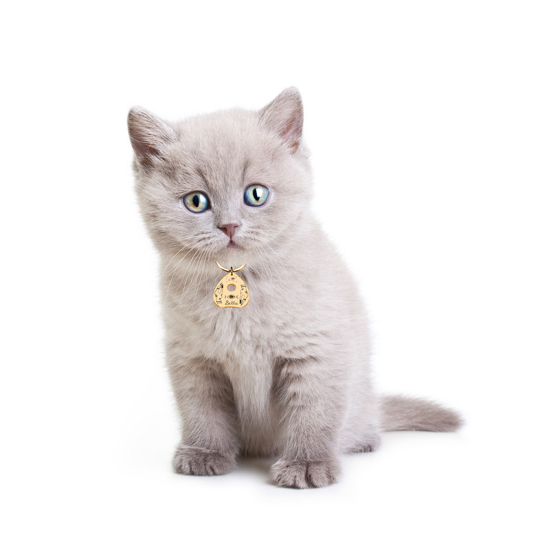 Etichete de identificare personalizate pentru animale de companie Plăcuță de identificare Etichete cu nume gravate gratuite Placă cu pandantiv anti-pierdere Personalizare Placă Ouija din metal Dropshipping