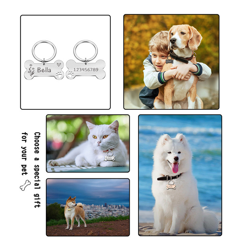 Ετικέτες σκύλου γάτας Χαραγμένες ετικέτες ταυτότητας κατοικίδιων Προσαρμοσμένη πινακίδα τύπου μενταγιόν κουταβιού κατά της απώλειας για αξεσουάρ κολάρου ταυτότητας γατάκι Χονδρική πώληση