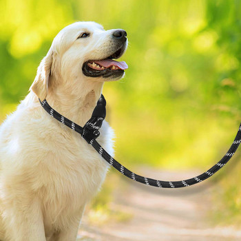 Benepaw Регулируема яка за каишка за домашни любимци 2 в 1 Светлоотразителна подплатена дръжка Въже за приплъзване на каишка за кучета за малки, средни големи кучета