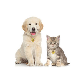 Персонализирано колие с плоча за куче Персонализиран адрес за медал за котка Куче Гравиране на медальон Медальон Идентификационен етикет за домашен любимец Помощ за домашни любимци Аксесоари