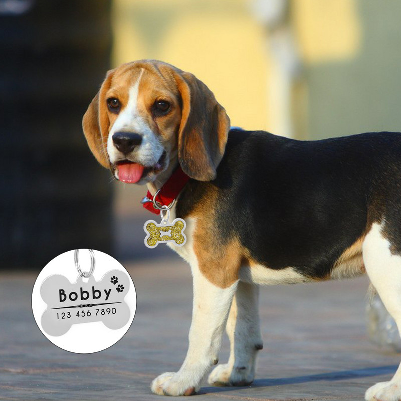 Roostevabast terasest isikupärastatud luusilt Kohandatud lemmiklooma kutsika kassipoegade ID-silt, graveeritud koera kaelarihma ripats kaelakee kaelarihma tarvikud