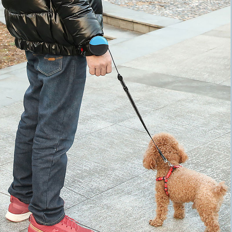 Uued kokkutõmmatavad koerarakmed köis pikendatav koerarihm, reguleeritav randme käed-vabad nailonist lemmikloomarihmad suurtele ja keskmise suurusega väikestele koertele