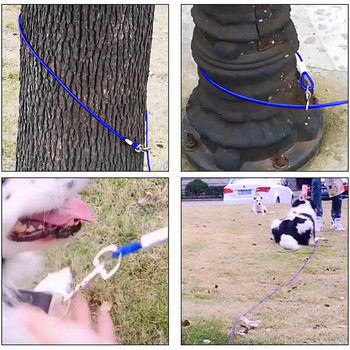 Dog Tie Out Cable Chain 10 ft, για μικρούς μεσαίους μεγάλους σκύλους έως 100 lbs - Λουρί σκύλου για εξωτερικούς χώρους, αυλή, κάμπινγκ