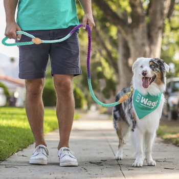 150 εκ. Σχοινί λουριών για κατοικίδια σκύλου Nylon Small Medium Large Dogs Puppy Leashes Long Heavy Duty Large Dog Training Walking Lead