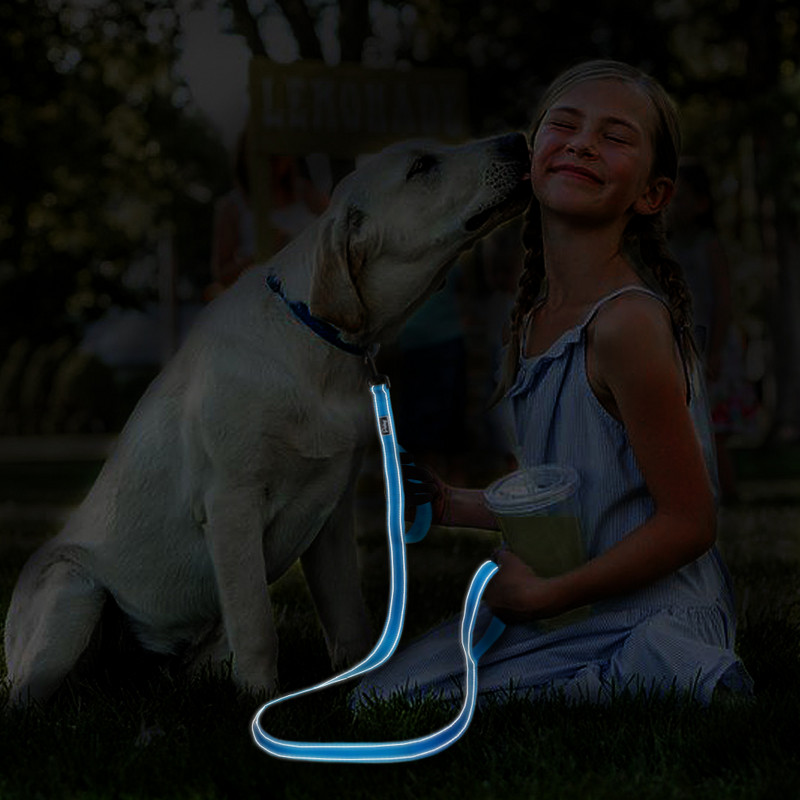 2 Χειρολαβές Νάιλον Λουρί Σκύλου Ανακλαστικά Λουριά Περπάτημα Σκύλου Διπλές Χειρολαβές Μονάδες Εκπαίδευσης Κατοικίδιων Για Μεσαίων Μεγάλων Σκύλων