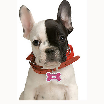 Персонализиран етикет за идентификация на куче, нашийник, безплатно гравиране, име на идентификация на домашен любимец, висулка, кост, декорации за кученца, персонализирана яка, котка, аксесоари за чихуахуа