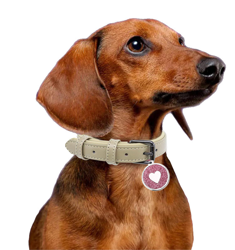 Plăcuță de identificare pentru animale de companie gravată personalizată, personalizată, Urme de câine, PENDANT, Etichetă cu model de inimă