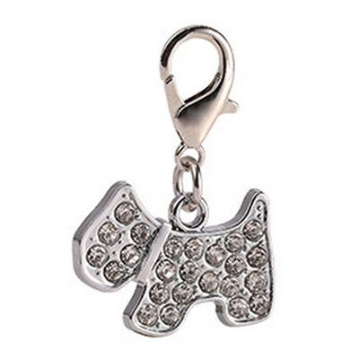 Εξατομικευμένη χάραξη Προσδιορισμός ετικέτας ταυτότητας σκύλου κατά της απώλειας Προσαρμοσμένο όνομα κατοικίδιου Κολάρο κουταβιού Σκύλος γάτας Ετικέτες οστών για κατοικίδια