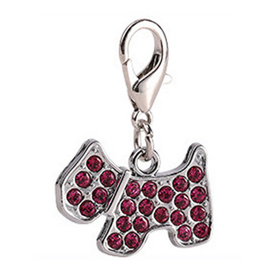 Εξατομικευμένη χάραξη Προσδιορισμός ετικέτας ταυτότητας σκύλου κατά της απώλειας Προσαρμοσμένο όνομα κατοικίδιου Κολάρο κουταβιού Σκύλος γάτας Ετικέτες οστών για κατοικίδια