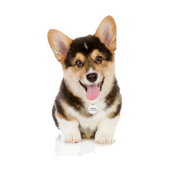 Ετικέτα Anti-lost Dog ID Dog Collar Can\'t Hold My Licker ID Όνομα κατοικίδιου Όνομα Τηλέφωνο Εξατομικευμένη ετικέτα για Cat Puppy Dog Collar Tag