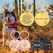 Colier personalizabil pentru pisici Etichete de identificare Lanț Câini Accesorii pentru animale de companie Adresă cu gravură Număr Număr Plăcuță cu numele câinelui de companie Dropshipping