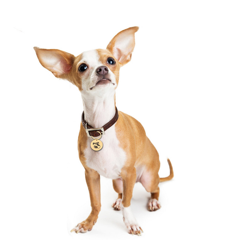 Ingyenes gravírozott kisállatazonosító címkék, személyre szabott kisállat-címke macskáknak kutyáknak névnyakörv háziállatoknak Egyedi névazonosító nyakörvek kisállat-kiegészítők