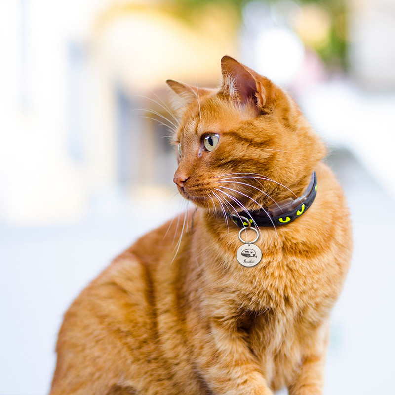 Etichete de identificare personalizate pentru câini Etichetă metalică gravată pentru câini de talie mică Guler cu nume pentru pisici Cățeluș Accesorii pentru animale de companie Etichete cu nume personalizate