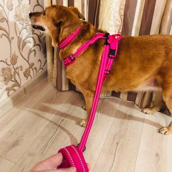 Truelove 110 εκ. Διχτυωτό λουρί σκύλου με επένδυση ροζ Ανθεκτικό ανακλαστικό λουρί ασφαλείας για σκύλους κατοικίδιων ζώων Lead Leashing Nylon Λουριά εκπαίδευσης σκύλου