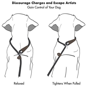 Λουρί σκύλου Slip Rope Lead Leash Reflection Heavy Duty Reflektive Braided Rope Ρυθμιζόμενο λουρί για εκπαίδευση με κολάρο για μεσαίου μεγέθους σκύλους