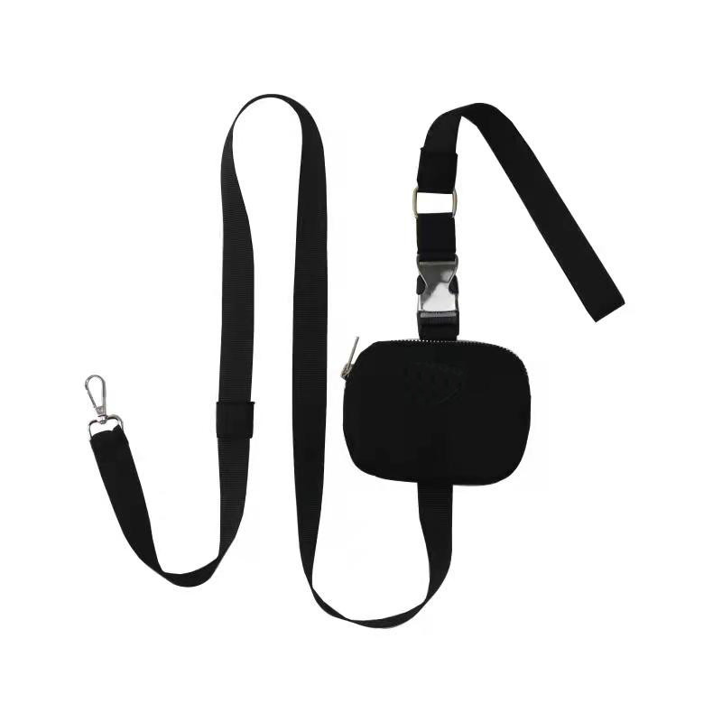 Lesă din nylon pentru câini de companie pentru câini de talie mică Accesorii pentru animale de companie Pachet portabil pentru cățeluș Walker Lesă Yorkies Geantă de depozitare în aer liber LC0280