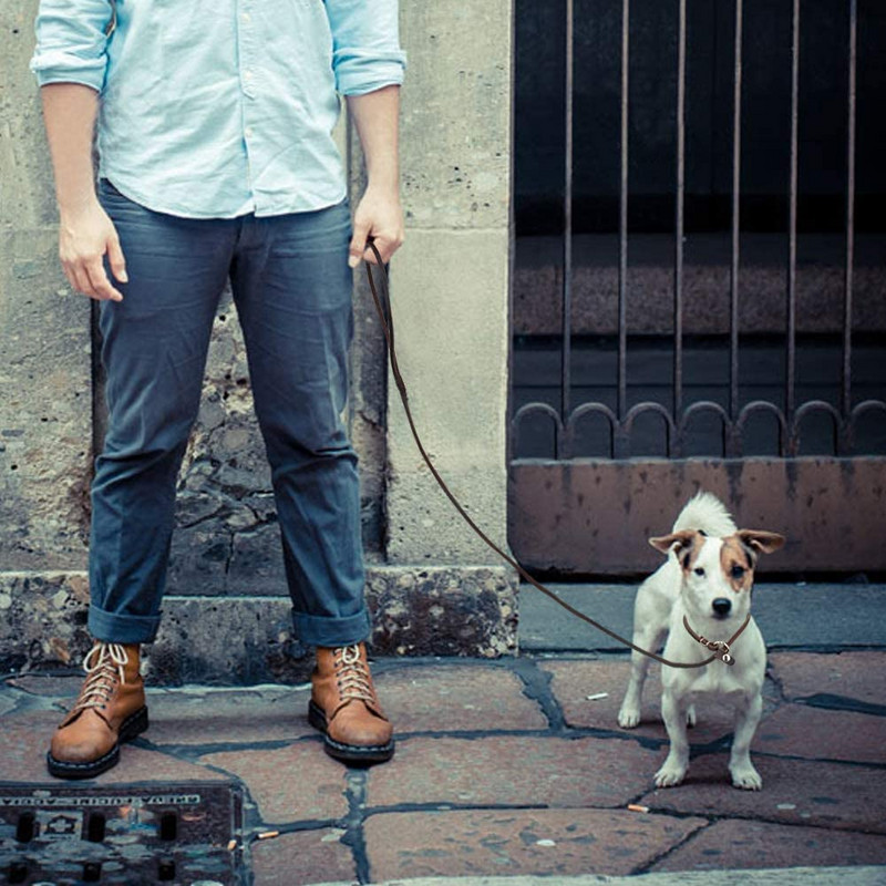 Slip Lead juhtrihm koertele No Pull Kerge ehtsast nahast koerarihm Lemmiklooma libisemisrihm Trossirihm väikestele keskmistele loomadele