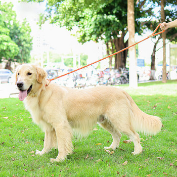 Βαμβακερό κολάρο για λουρί σκύλου, ολισθητικό μόλυβδο εκπαίδευσης για μεσαίου μεγέθους και μεγάλους σκύλους, δερμάτινο λουρί σκύλου, δερμάτινο λουρί P αλυσίδας Άνετο