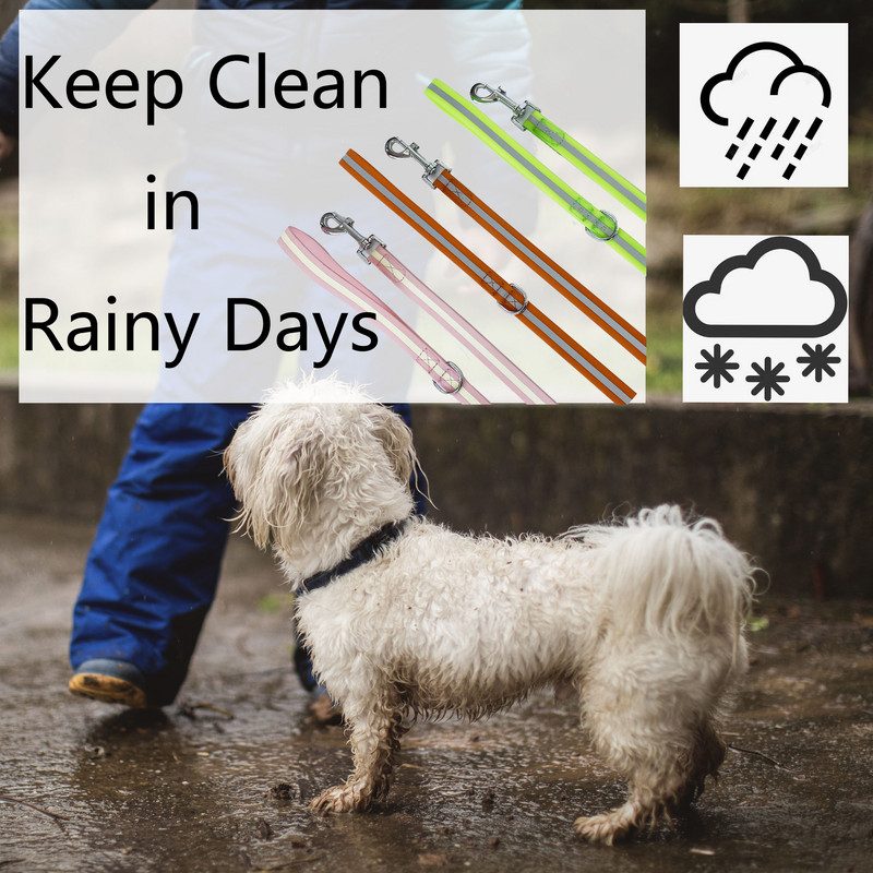 2 M 3M, culoare bomboană, în aer liber, rezistent la murdărie, ușor de curățat, impermeabil, reflectorizant, strălucitor de noapte, acoperit cu PVC, lesă plată pentru câini pentru animale de companie de toate dimensiunile