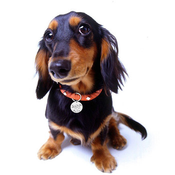 Δωρεάν χαραγμένη ετικέτα ταυτότητας σκύλου για κατοικίδια Προσαρμοσμένα κρεμαστά σκυλιά κατά της απώλειας Ετικέτες ονόματος Εξατομικευμένες ετικέτες ταυτότητας λουλουδιών γάτας Αξεσουάρ κολάρου για σκύλους κατοικίδιων ζώων