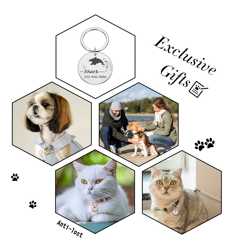 Isikupärastatud koerasilt Lemmiklooma ID-sildi nimesildid Tasuta kohandatud kassikutsikasildid Roostevabast terasest kaelarihm Lemmikloomatarvikud Dropshipping