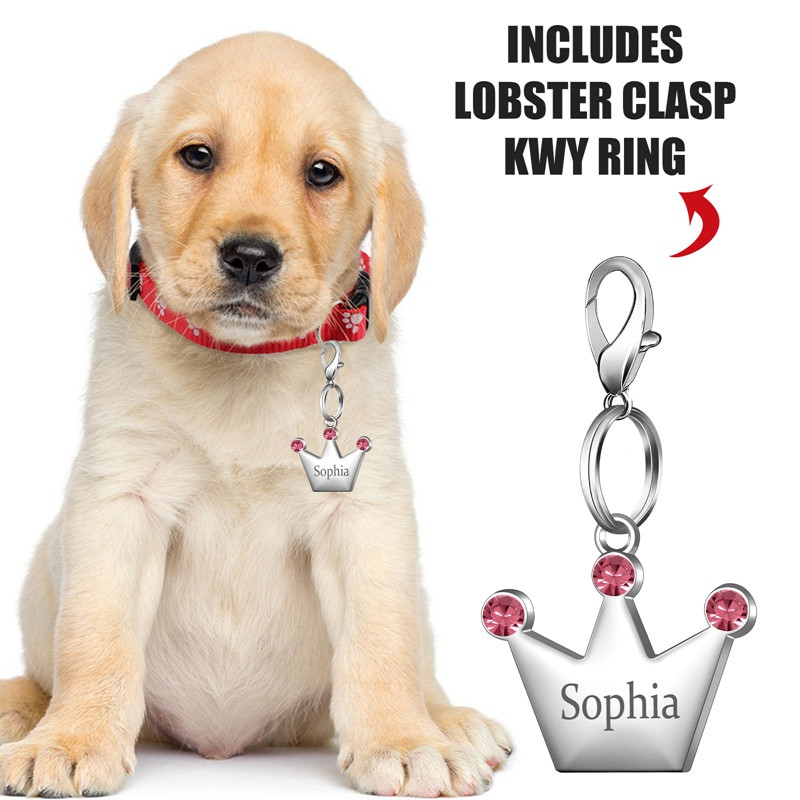 Etichete personalizate pentru câini, pisică, cățeluș, ID pentru animale de companie, guler, etichetă cu pandantiv, accesorii pentru animale de companie, coroană de cristal, bijuterii pentru animale de companie, gravare cu laser, dropship