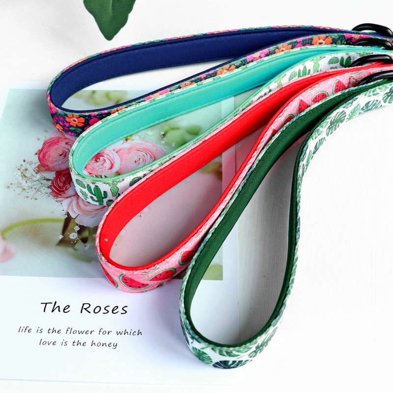 Λουρί από νάιλον σκύλου 150 εκ. Λουρί γαλλικού μπουλντόγκ με μόλυβδο Μικρά μεσαία σκυλιά Λουρί για γάτες για κουτάβι Chihuahua Περπάτημα