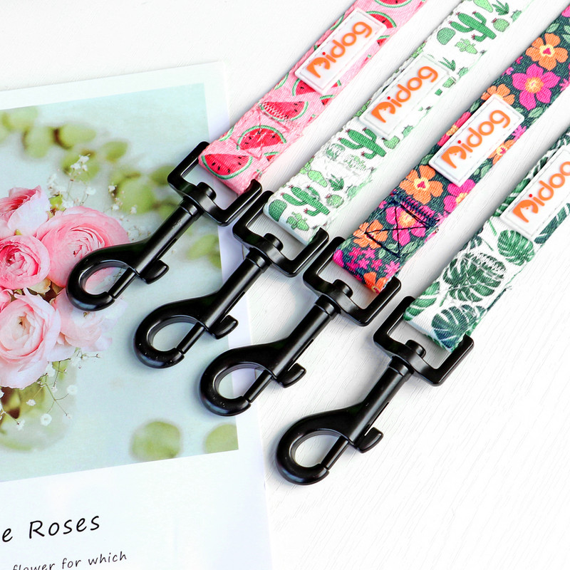 Λουρί από νάιλον σκύλου 150 εκ. Λουρί γαλλικού μπουλντόγκ με μόλυβδο Μικρά μεσαία σκυλιά Λουρί για γάτες για κουτάβι Chihuahua Περπάτημα