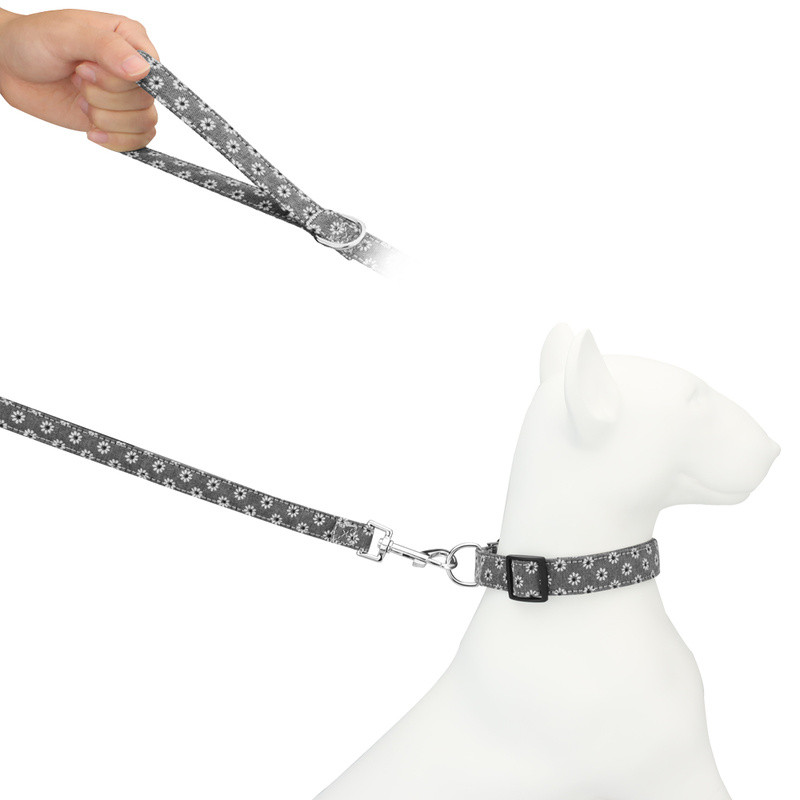 Προμήθειες λουλουδιών λουλουδιών με σχοινί με λουρί για σκύλους Προμήθειες για κατοικίδια ζώα με μικρό μεσαίο σκύλο