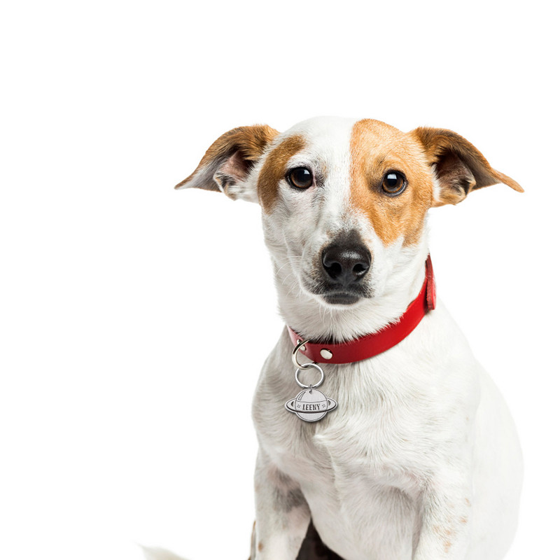 Etichetă de identificare gravată pentru câine de companie Etichetă personalizată pentru cățeluș de pisică etichetă anti-pierdere Accesorii pentru zgarda pentru câini de companie personalizate Etichete cu nume pentru câini Pandantiv cu ridicata