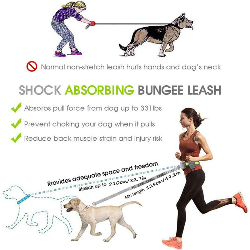 Lesă pentru câini mâini libere cu husă cu fermoar, reflectoare pentru alergare, mers, antrenament, lesă, centură pentru câini mici, mijlocii și mari