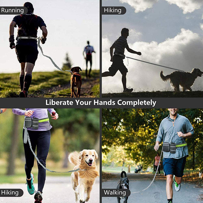 Lesă pentru câini mâini libere cu husă cu fermoar, reflectoare pentru alergare, mers, antrenament, lesă, centură pentru câini mici, mijlocii și mari
