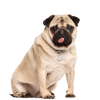 Безплатни нашийници с гравирано име на куче Домашни любимци Етикет за идентификация на кучета Персонализирани етикети за идентификация на кучета Нашийник за домашни кученца Персонализирани аксесоари Консумативи