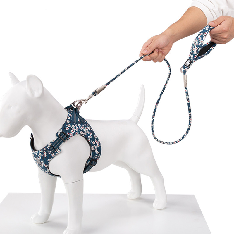 Winhyepet lesă de dresaj de câini cu mâner căptușit, durabil, alunecare, buldog, animal de companie, în aer liber, pentru cățeluși, câini mijlocii mari, dropshipping