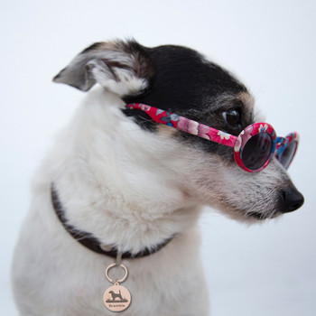 Δωρεάν χάραξη γιακά κατοικίδιων ζώων Εξατομικευμένο κολάρο σκύλου Ετικέτα χαραγμένο όνομα για μπρελόκ για σκύλο Αξεσουάρ Κρεμαστό κολιέ γοητείας για κουτάβι
