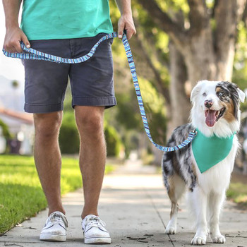 Λουρί σκύλου από νάιλον 150 cm Πολύχρωμο εμπριμέ σχοινί λουριών κατοικίδιων ζώων για μικρομεσαίους σκύλους Μαλακά λουριά για περπάτημα για κατοικίδια Chihuahua Pitbull