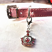 Isikupärastatud koerasildid Kassikutsikas Lemmikloomade sulam Rhinestone Kroonkrae ripats Lemmikloomatarvikud Krooni lemmikloomad Ehted Dropshipping