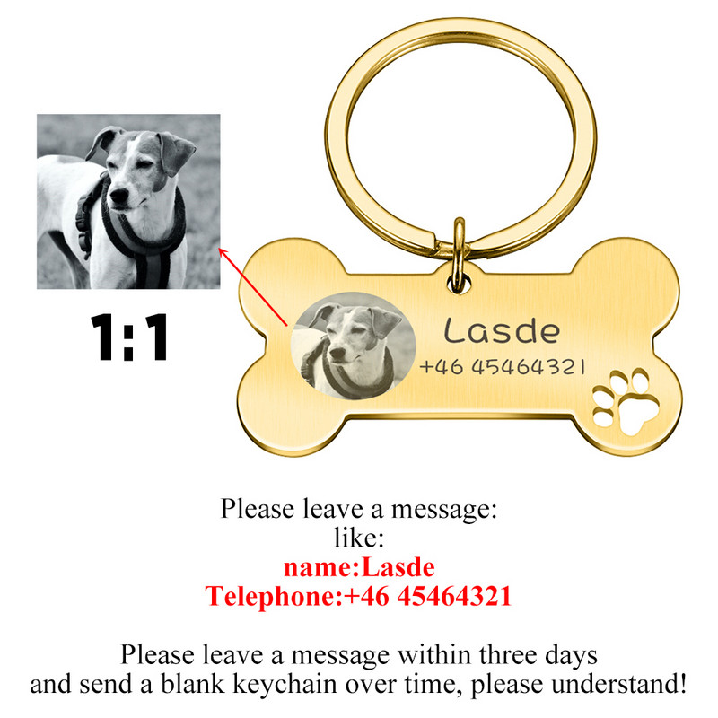 Fotografie STVK Gravura personalizată pentru animale de companie, pisică, etichete cu nume de câine, personalizate, pisoi, cățel, zgarda anti-pierdere din oțel inoxidabil, guler cu etichetă