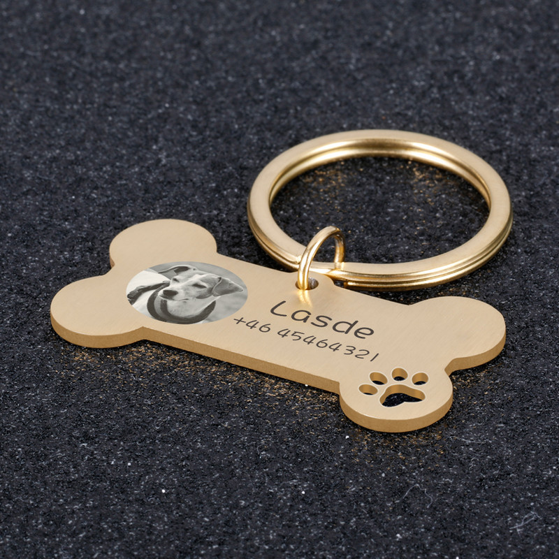 Fotografie STVK Gravura personalizată pentru animale de companie, pisică, etichete cu nume de câine, personalizate, pisoi, cățel, zgarda anti-pierdere din oțel inoxidabil, guler cu etichetă