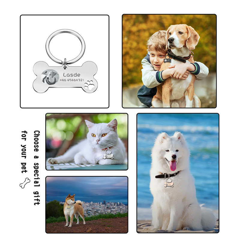 Fotografie STVK Gravura personalizată pentru animale de companie, pisică, etichete cu nume de câine, personalizate, pisoi, cățel, zgarda anti-pierdere din oțel inoxidabil, guler cu etichetă