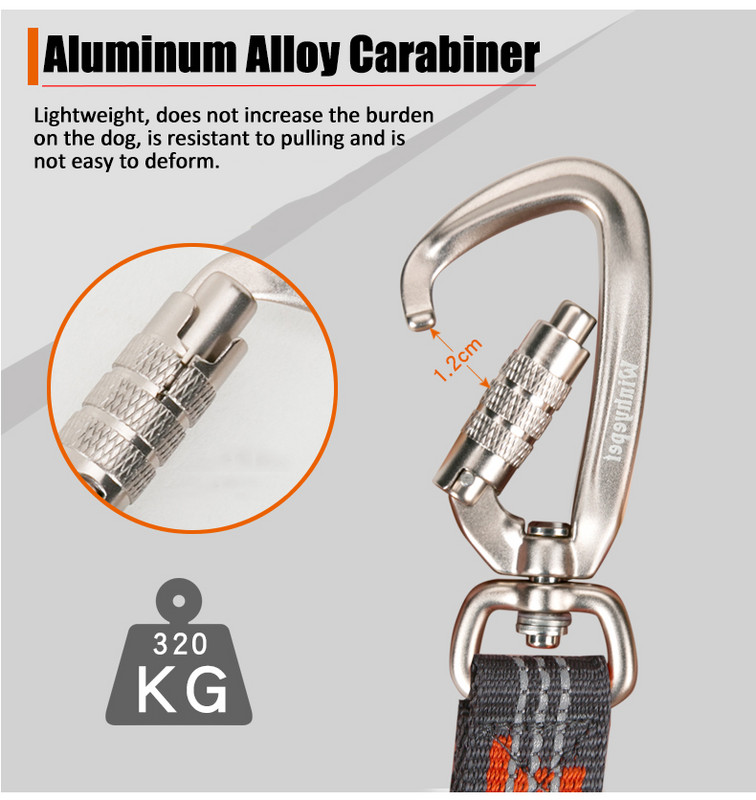 Winhyepet Pet Leash 3M Refletive Under Truelove SBR Diving Fiber Rope Prikladno za velike srednje i male pse YL1832