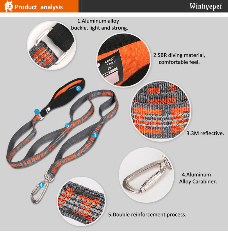 Winhyepet Pet Leash 3M Refletive Under Truelove SBR Diving Fiber Rope Prikladno za velike srednje i male pse YL1832