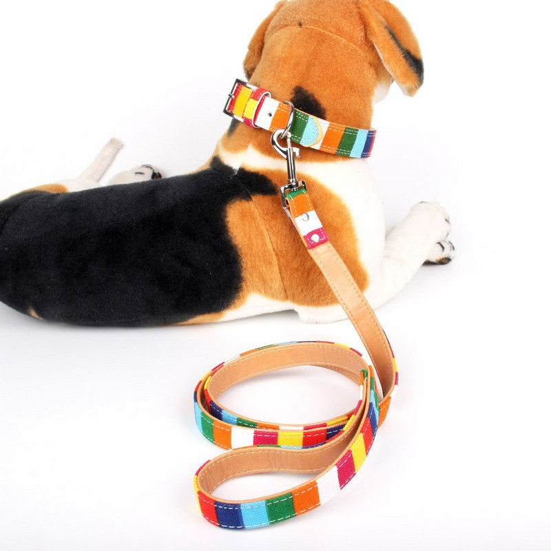 Articole pentru animale de companie Lesă de câine căptușită durabilă pentru câine mic, mediu mare, pânză cu dungi colorate personalizate, plus dresaj de plumb de câine din piele