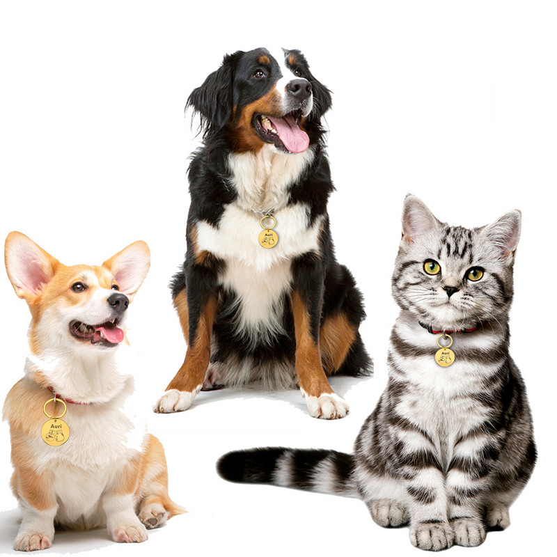 Személyre szabott kisállat azonosító címkék gravírozott kisállat név száma cím macska kutya nyakörv kisállat medál kiskutya macska nyaklánc varázsa nyakörv kiegészítők