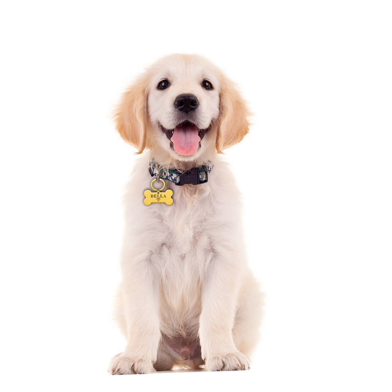 Etichetă de identificare personalizată pentru animale de companie, breloc gravat cu nume de identificare a animalelor de companie pentru pisică, cățeluș, etichetă de guler de câine, breloc cu pandantiv, accesorii pentru animale de companie.